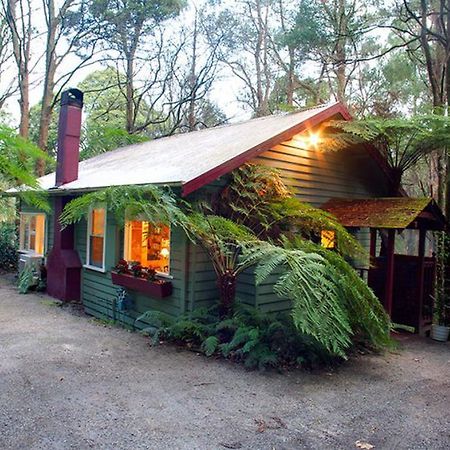 Cottage In The Forest Olinda Zimmer foto